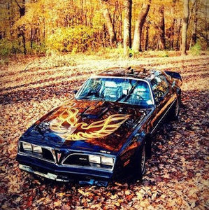 Meet your Posher, Steven